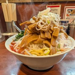 旨辛味噌(本辛)＋メンマ＋野菜