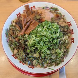 背油黒醤油メンマラーメン(並)＋国産青ネギ