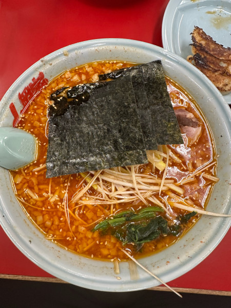 「辛味噌ネギ」@ラーメン山岡家 土浦店の写真