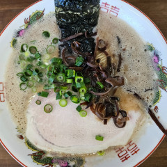 博多ラーメン 洋ちゃん食堂の画像