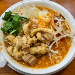 コク旨！辛味噌らーめんハーフ　￥１１１０