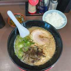 博多らーめん 丸福の画像