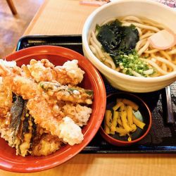 かけうどん　海老天丼満腹定食