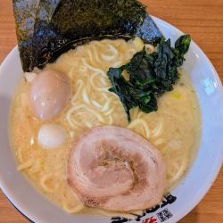味玉ラーメン（塩豚骨）