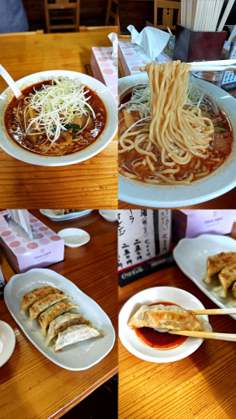 「『勝浦タンタンメン+ぎょうざ(￥800+350)』」@えびねの写真