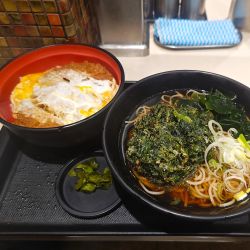 かけそば（かつ丼セット）+春菊天