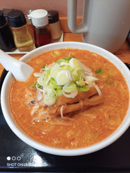 「みそらーめん」@自家製麺 麺屋 虎治の写真