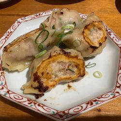 手包餃子(4ヶ)600円 他いろいろ