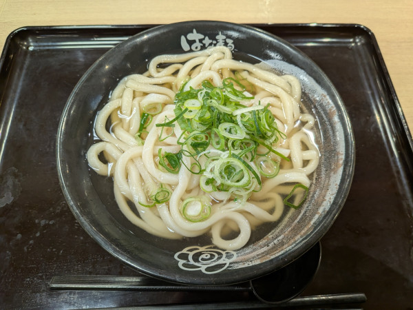「かけうどん（中）520円」@はなまるうどん  イトーヨーカドー大船店の写真