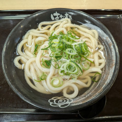 はなまるうどん  イトーヨーカドー大船店の画像