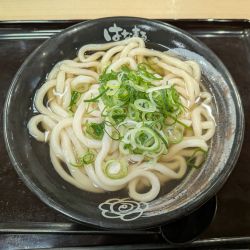 かけうどん（中）520円