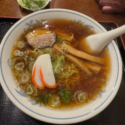 軽めそば　ネギ増し