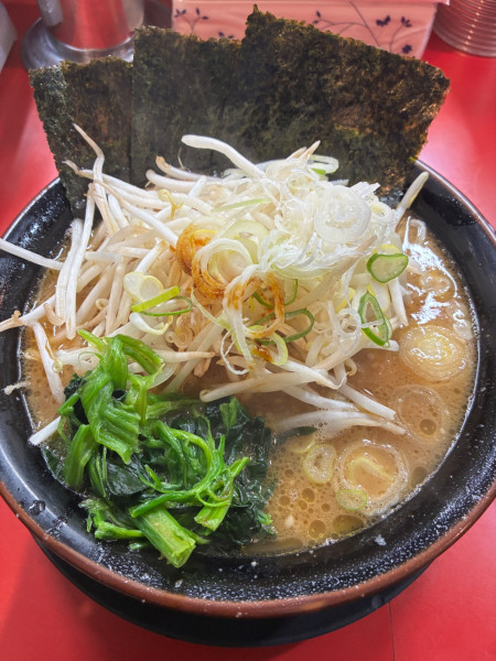 「並ラーメン　もやしトッピング」@とらきち家 光の写真