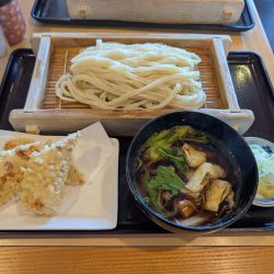 肉汁うどん（930円）、ちくわ天（200円）