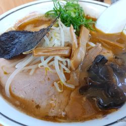 ニンニクチャーシューメン、子豚飯