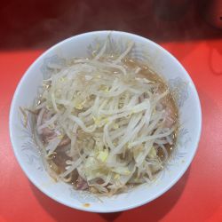 小ラーメン 麺1/3 野菜少なめ