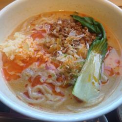 発巳担々麺 ＋ニンタマ