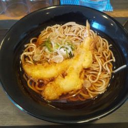 うどんそば ホソクナガクの画像