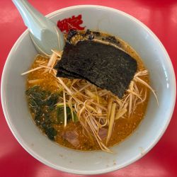特製味噌ネギラーメン 普通盛