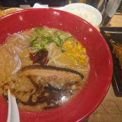 博多一風堂 みなとみらい東急スクエア店の画像