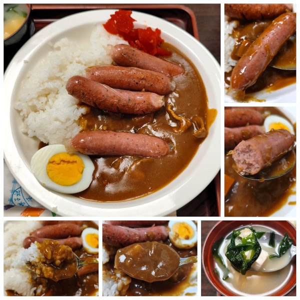 「ウィンナーカレー　¥1100」@辰巳庵の写真