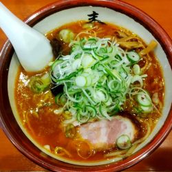 辛味噌らーめん　ネギ＋