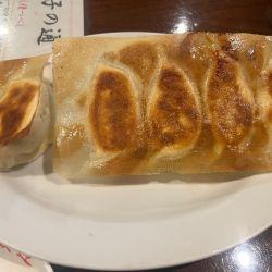 羽根付き餃子5個