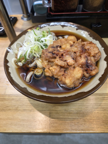 「太蕎麦（並盛）+ゲソ天」@そば・うどん 芽衣やの写真