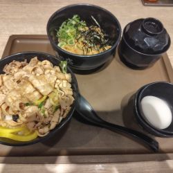 すた丼腹八分＋半油そば