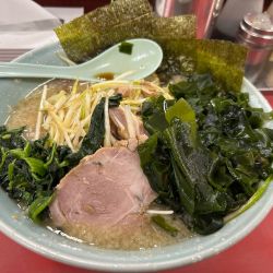 ネギコテラーメン　わかめ　中盛　カタコイオオ