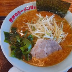 ネギラーメン 味噌 ¥1,050