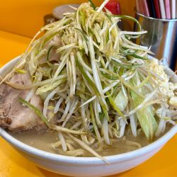 限定 NaCl 麺増し ニンニク ヤサイマシ アブラ ネギ