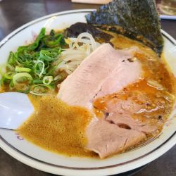 ハルピンラーメン【並木】