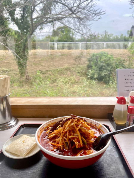 「暴君タンメン  大盛」@あぢとみ食堂の写真