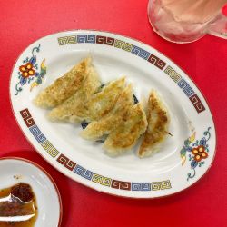 大阪発祥 中華丸正 焼餃子 6ヶ