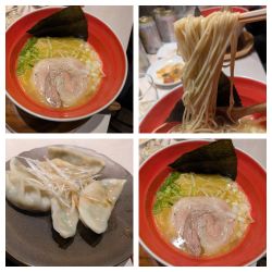 謎らーめん(鶏白湯塩)➕水餃子等