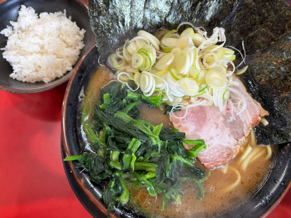 「中盛ラーメン +ほうれん草 +薬味ネギ +小ライス」@とらきち家 光の写真