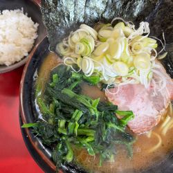 中盛ラーメン +ほうれん草 +薬味ネギ +小ライス