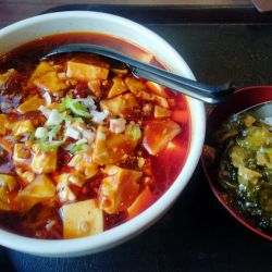 麻婆豆腐麺＋ミニ高菜丼