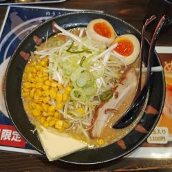 高なべスペシャル(白ネギ、太麺)  ﾒﾝﾏ抜き
