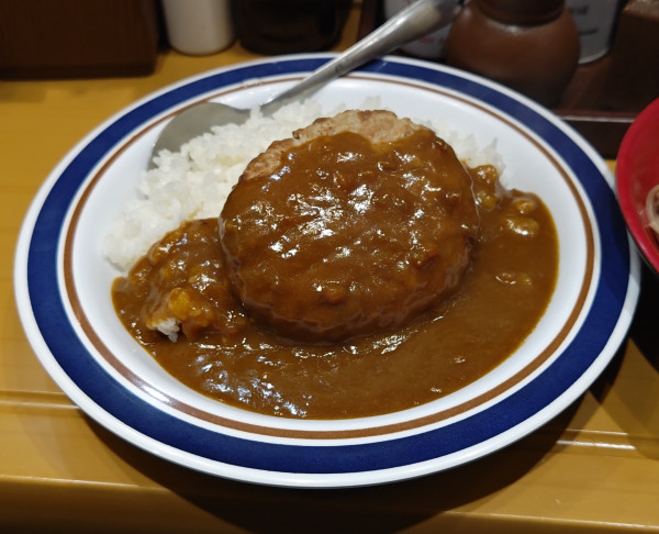 「【期間限定】ハンバーグカレー」@名代 富士そば 秋葉原店の写真