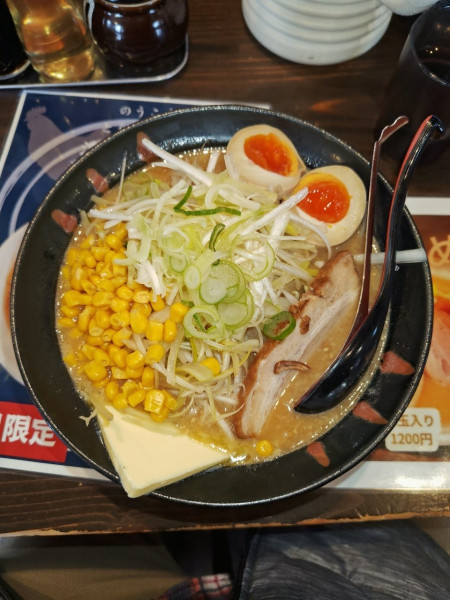 「高なべスペシャル(白ネギ、太麺)  ﾒﾝﾏ抜き」@高なべの写真