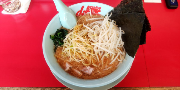 「味噌󠄀ネギラーメン　もやし＋」@ラーメン山岡家 滝川店の写真