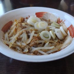 【北ノ醤油チーホー】北ノ醤油ラーメン