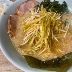 ネギラーメン 中盛 TPネギダブル