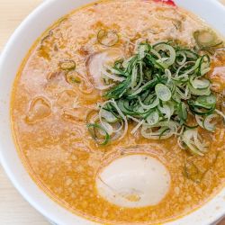 辛みそラーメン+味付半熟玉子