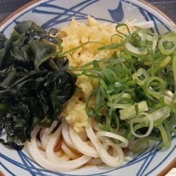 ぶっかけうどん・冷・並(¥440)