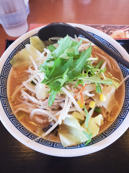 「野菜たっぷり味噌ラーメン」@山田うどん 藤沢田方町店の写真