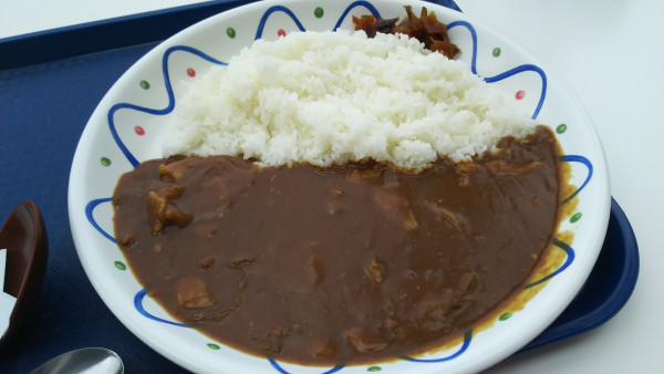 「八雲ポークカレー」@パノラマカフェ ハーベスターの写真