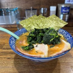 豚骨醤油ラーメン